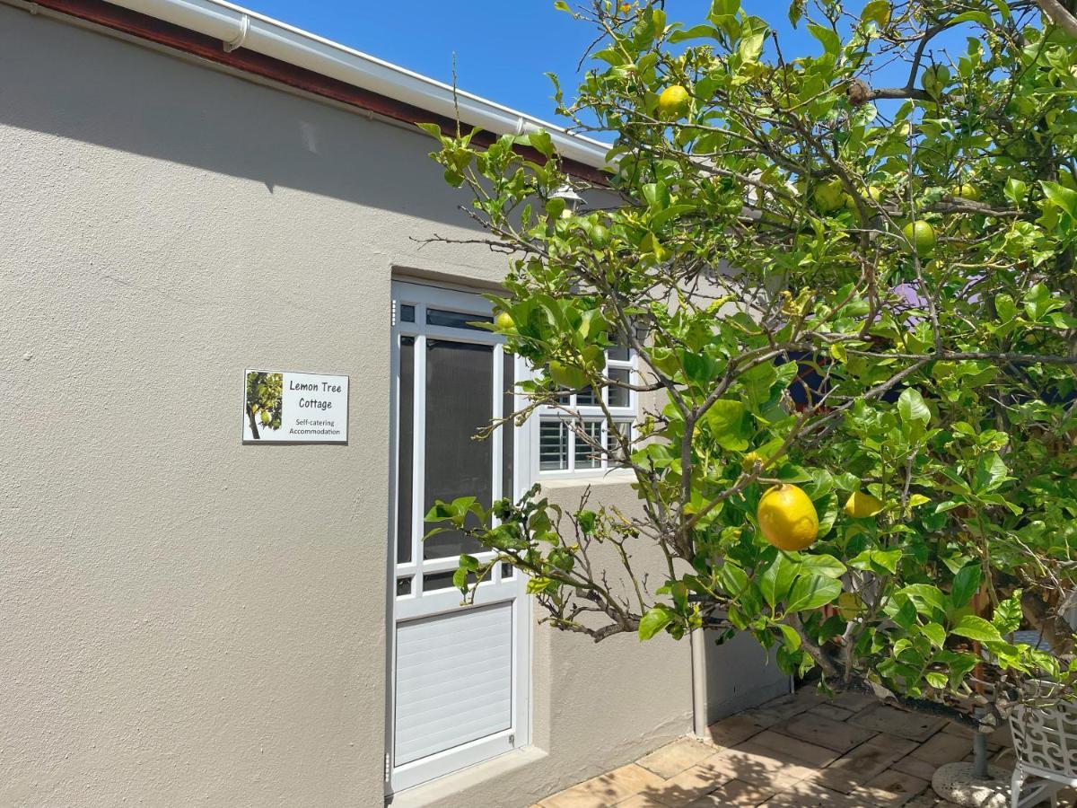 Lemon Tree Cottage Edgemead Buitenkant foto